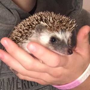 Meet your Posher, Kendall